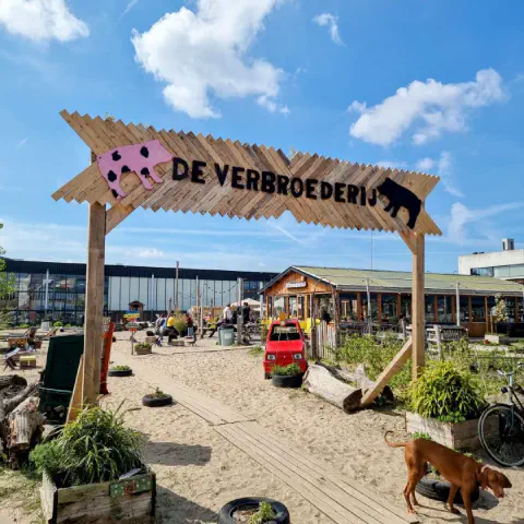 Stichting De VerbroederIJ